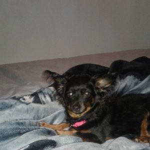 Meet your Posher, Tiana